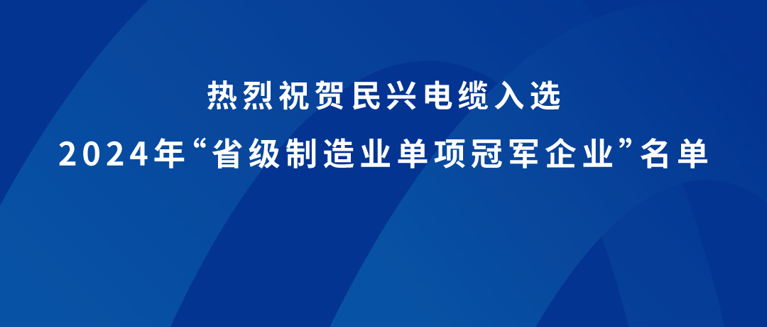 彩运网荣获广东省制造业单项冠军！