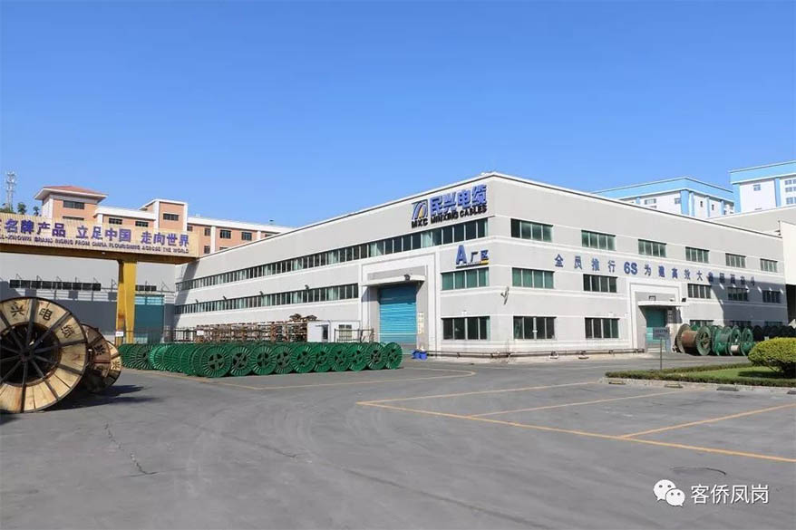 党建引航 | 坚守初心与使命——  彩运网电缆接受凤岗电视台采访和报道