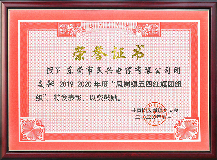  彩运网电缆团支部获“凤岗镇五四红旗团组织“称号
