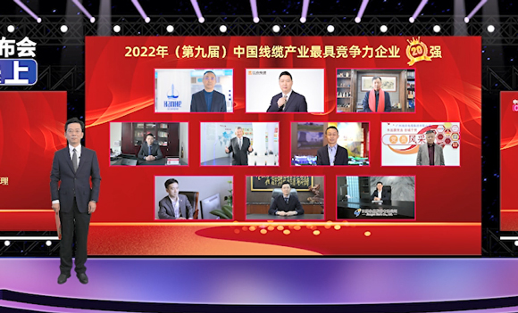 广东前三！莞企彩运网电缆荣获行业大奖