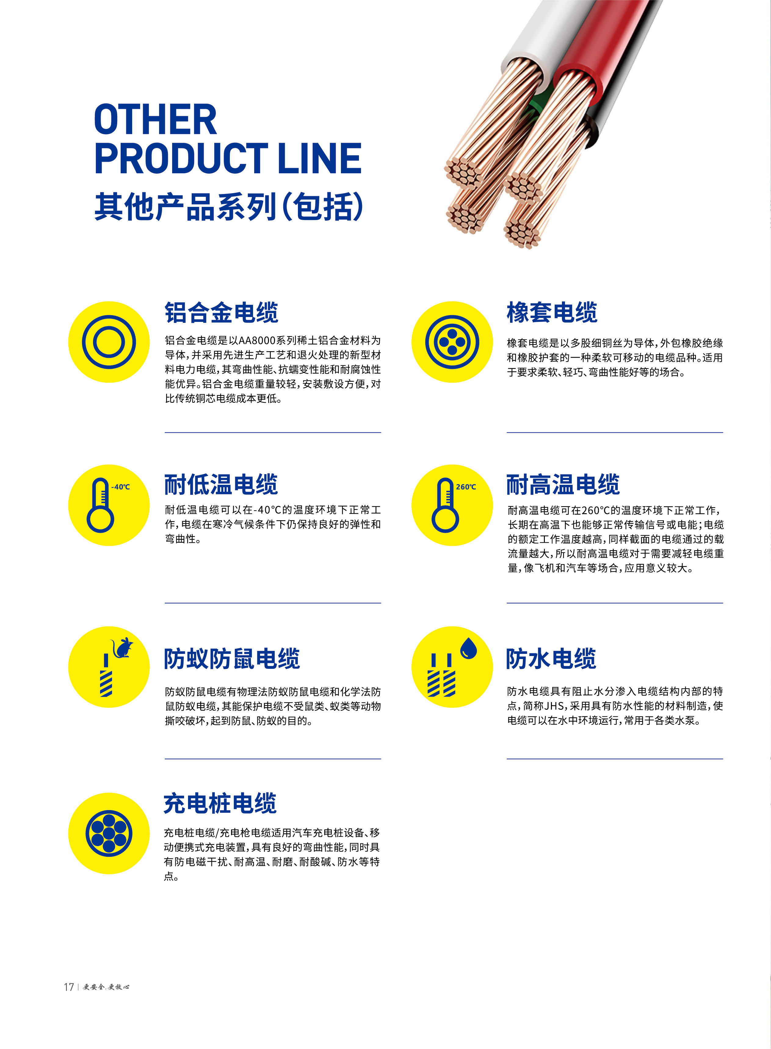 彩运网(中国游) - 官方网站