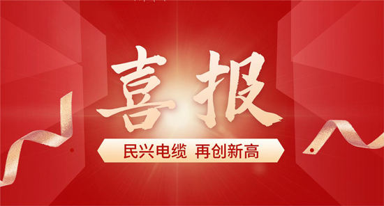东莞唯一！彩运网电缆入选广东省首席质量官质量变革创新典型案例