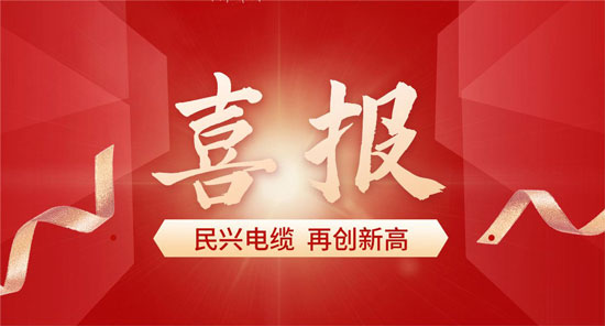 东莞彩运网电缆入选广东省首席质量官质量变革创新典型案例